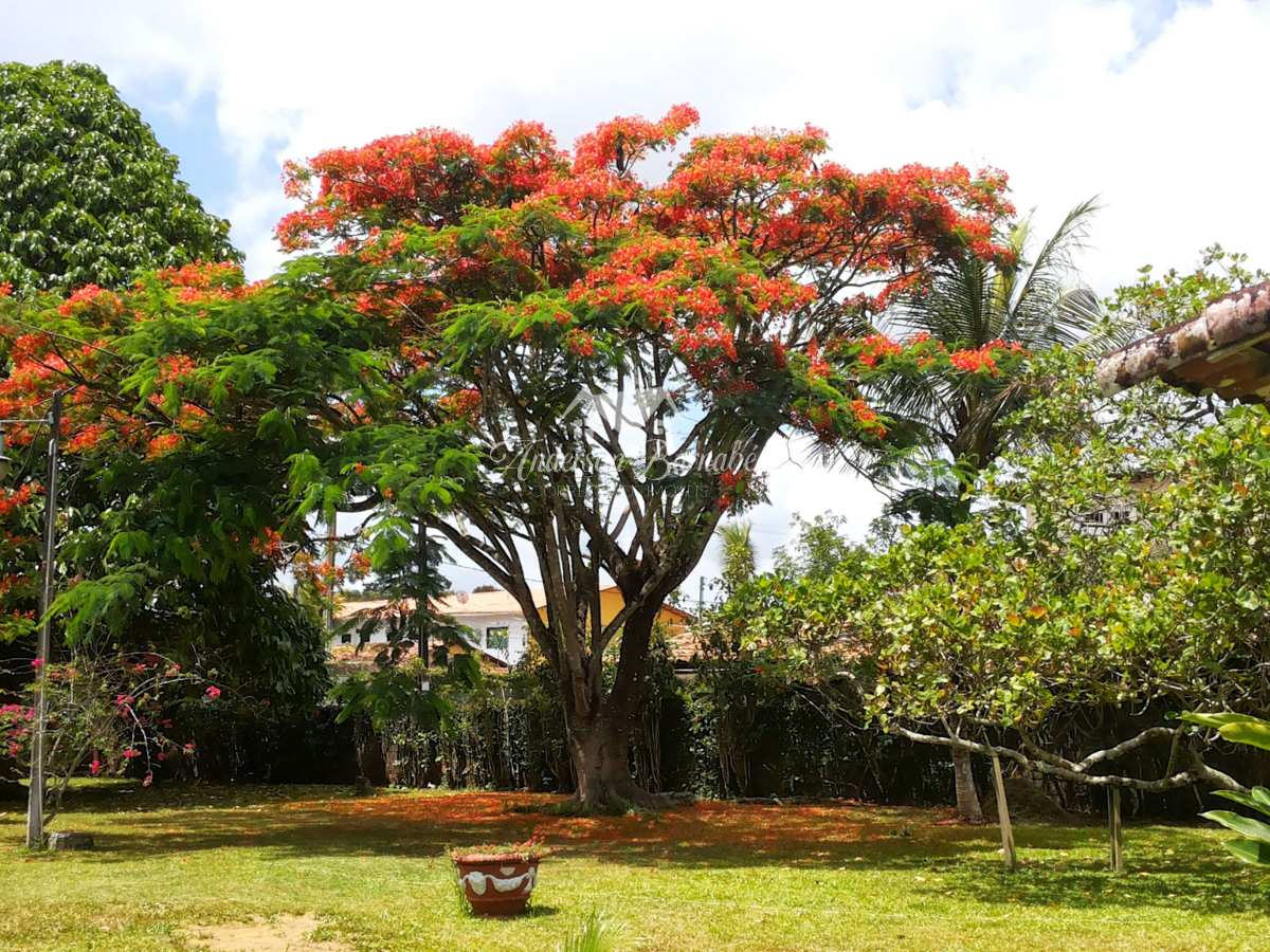 Chácara à venda com 3 quartos, 2400m² - Aldeia dos Camarás,Camaragibe